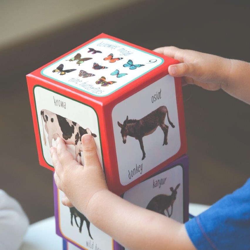 Piramida Zabaw Kartonowe Klocki Zwierzęta 1+