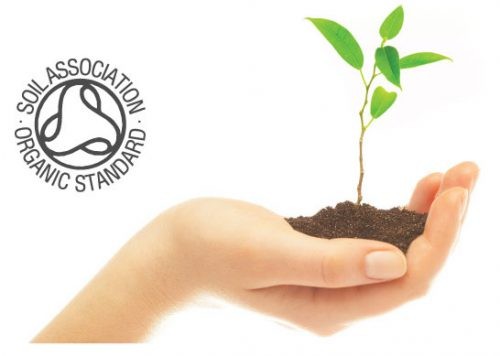 Bentley Organic Odżywczy Żel pod Prysznic Cynamon Pomarańcza 250ml