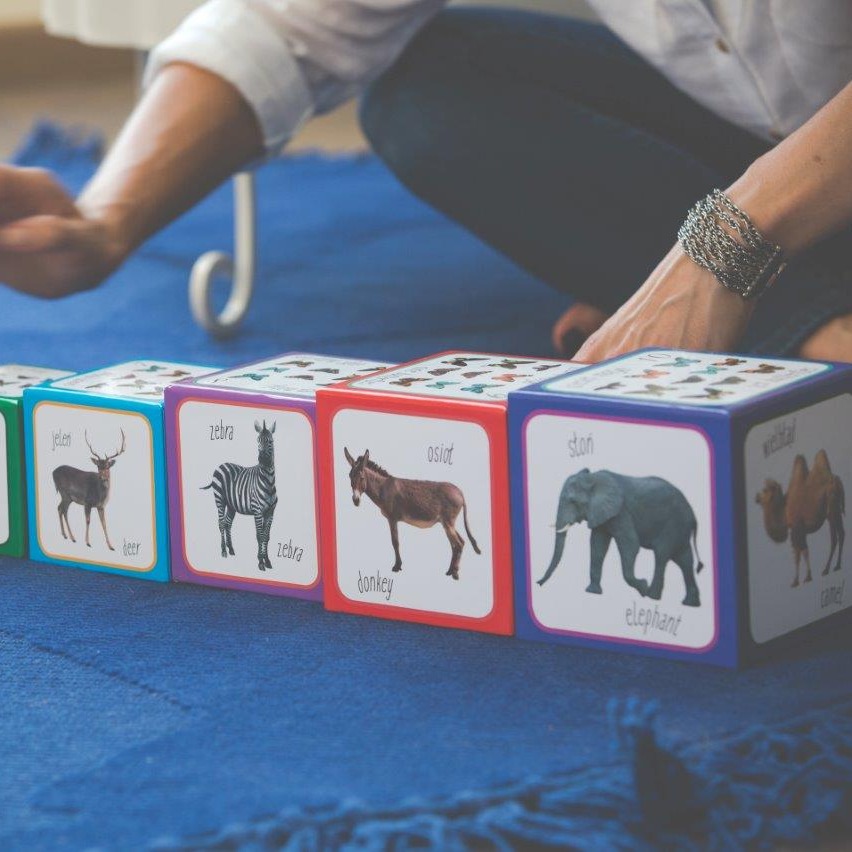 Piramida Zabaw Kartonowe Klocki Zwierzęta 1+