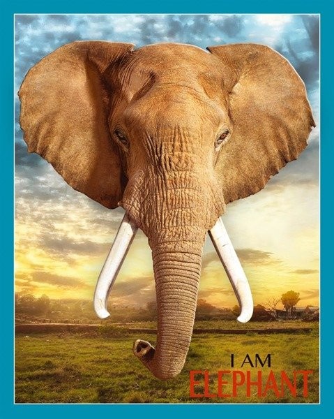 Madd Capp, Puzzle I AM - ELEPHANT - Słoń