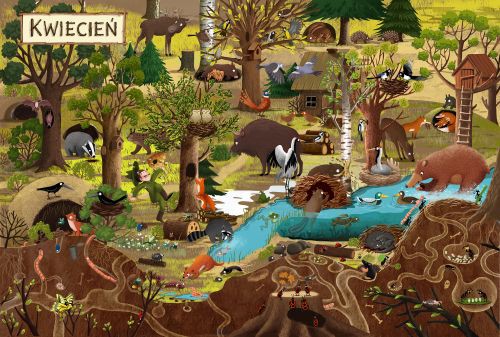 Rok w lesie - Ilustrowana Książka Edukacyjna | 1+