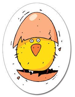 Djeco Gra Karciana Kurczaki 4+ | Edukacyjna