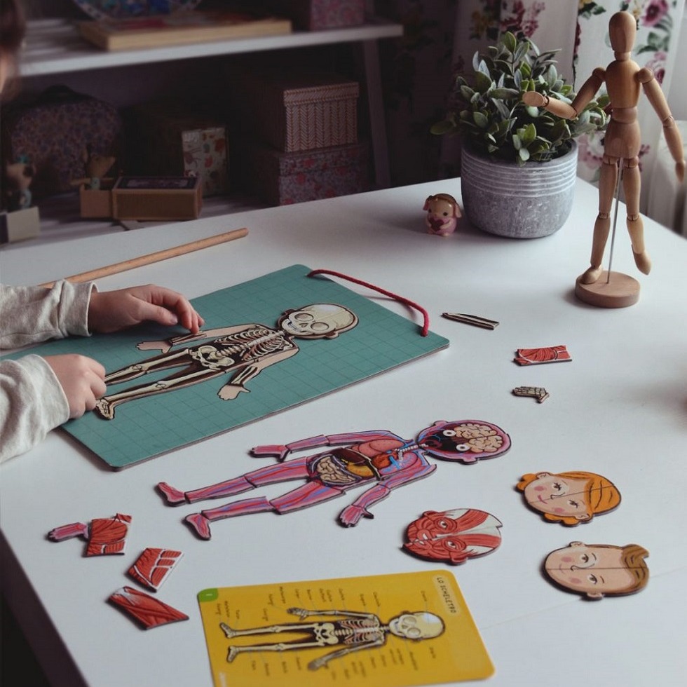 Janod Układanka Magnetyczna Ciało Człowieka 5+ | Edukacyjna