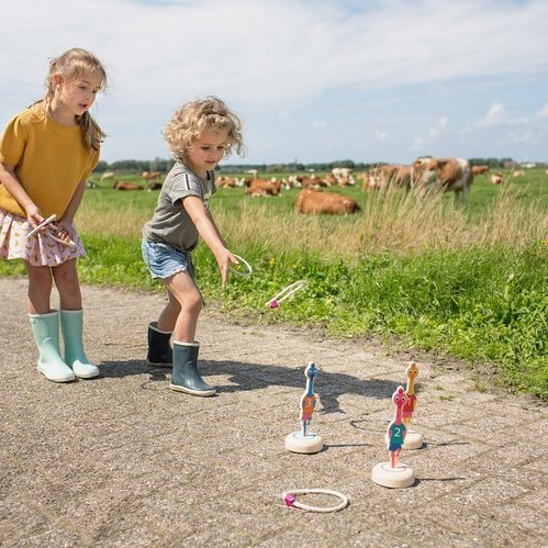 BS Toys Rzut obręczą do celu Ptaki 4+