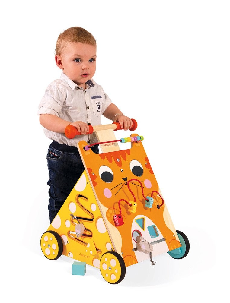 Janod Pchacz Edukacyjny Kot 12-36m
