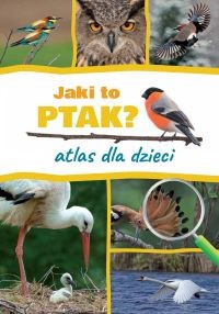 Jaki to ptak? Atlas dla dzieci SBM 2017