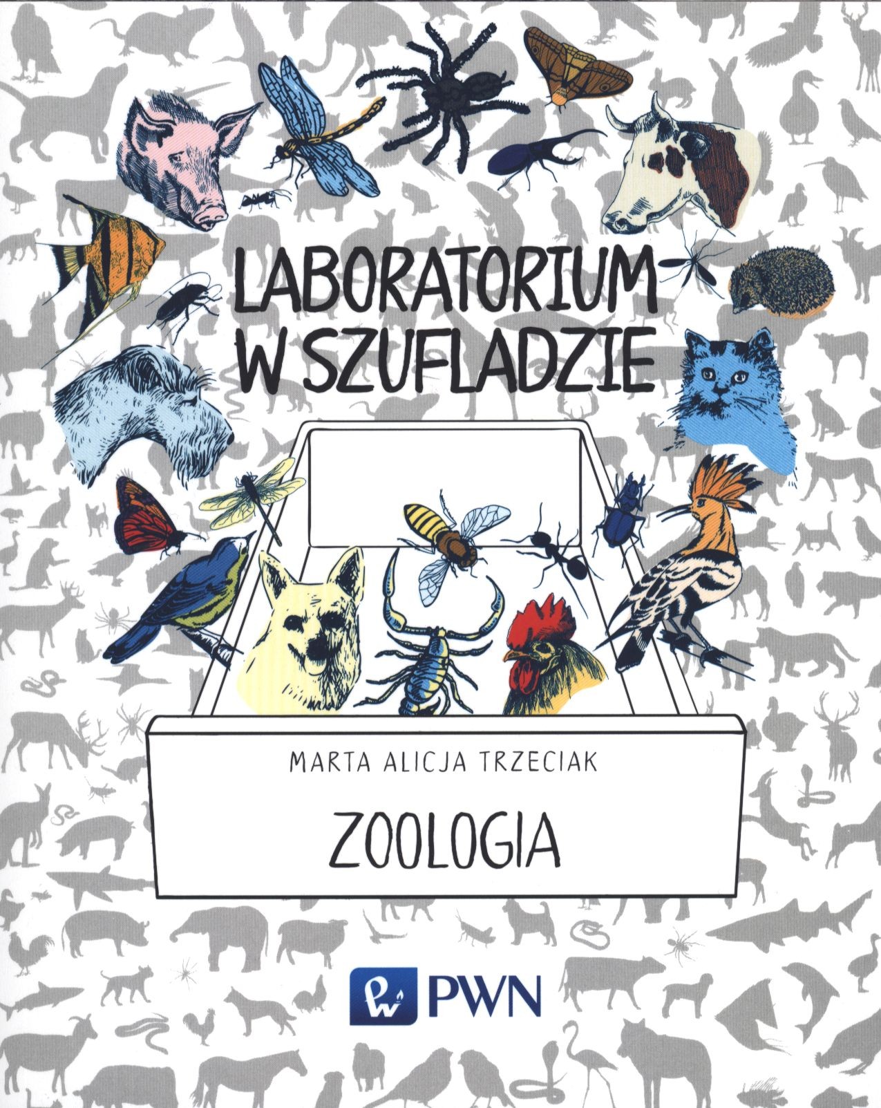 Zoologia - Laboratorium w szufladzie - Książka Edukacyjna 8+