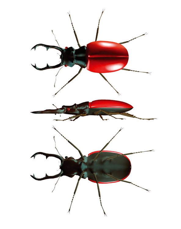 Geo kids Dwukomorowy Pojemnik z Lupą 5+