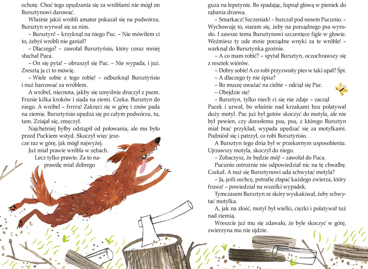 Puc, Bursztyn i goście - Książka dla dzieci, Jan Grabowski