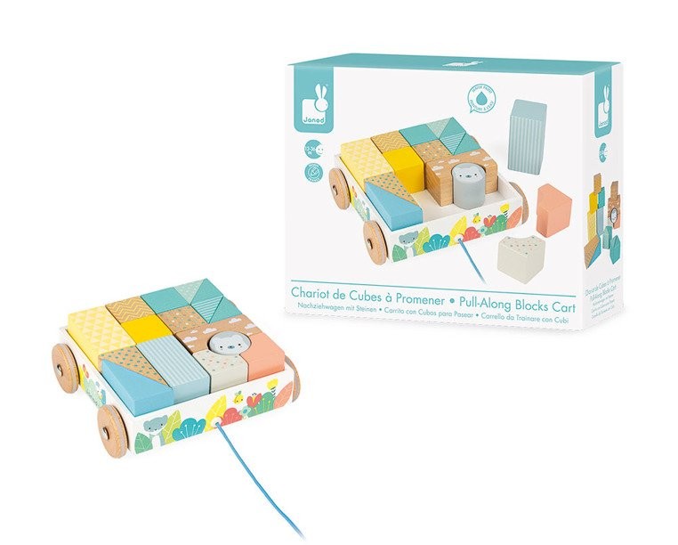 Janod Klocki Drewniane Do Ciągnięcia 30el 18m+