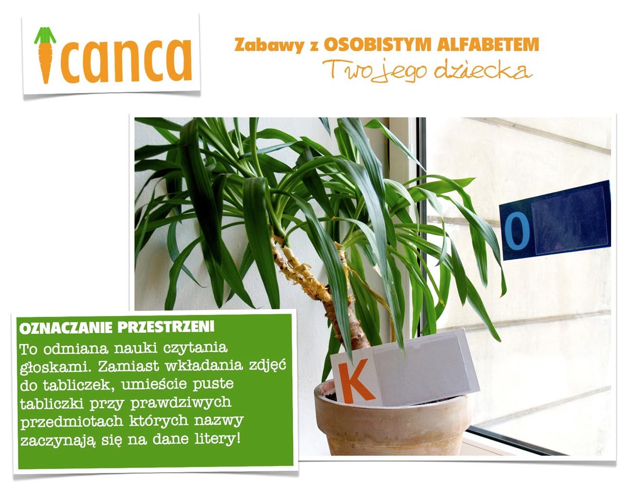 Osobisty Alfabet CANCA Drewniany od 3 lat