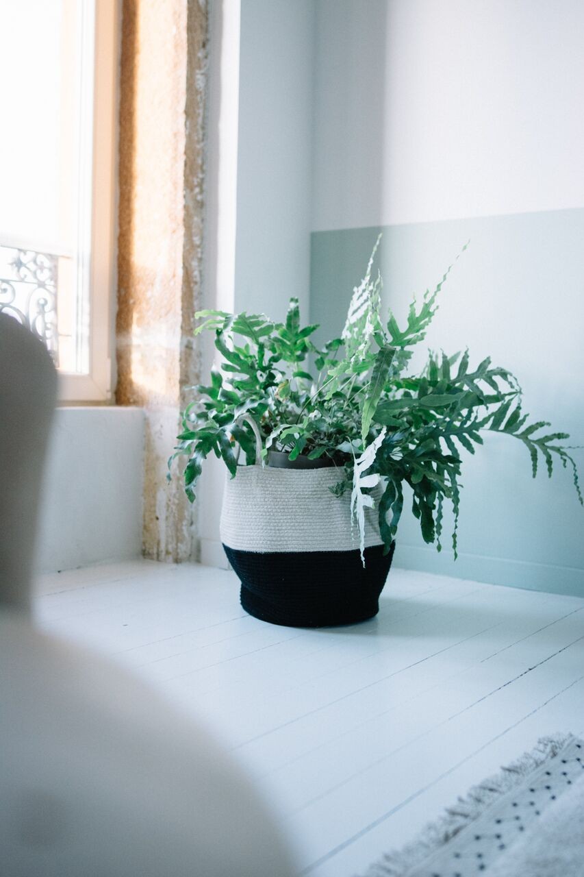 Lorena Canals, kosz ZOCO BLACK/NATURAL