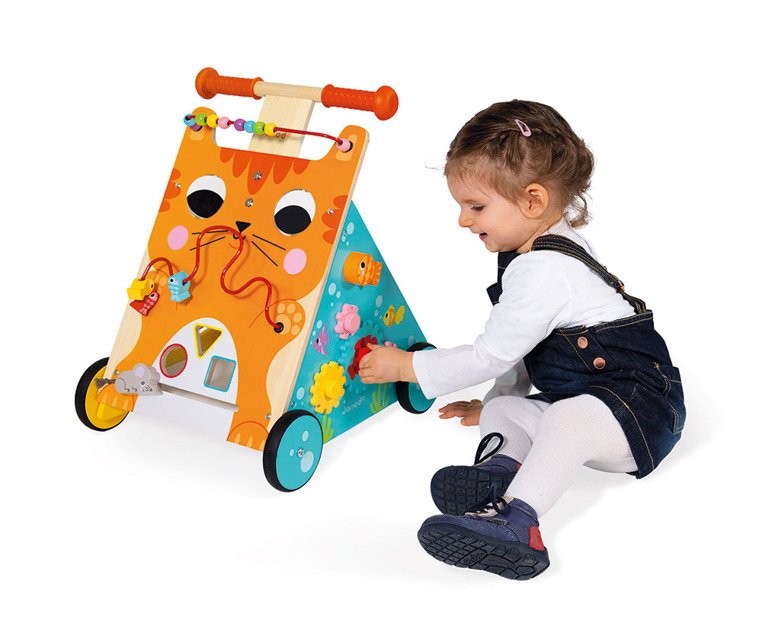 Janod Pchacz Edukacyjny Kot 12-36m
