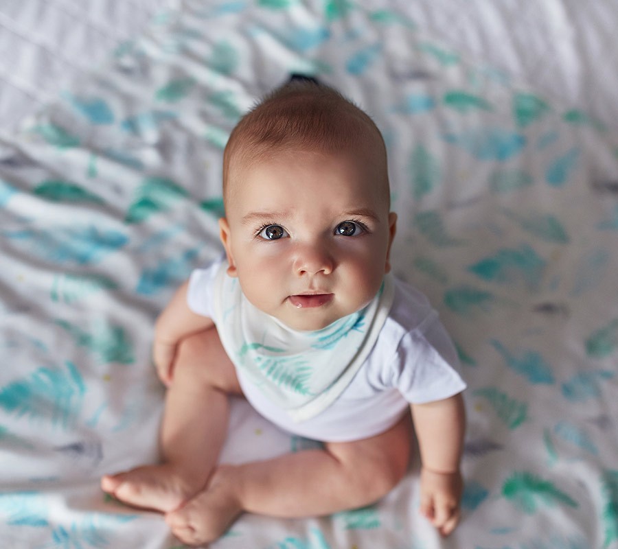 Lullalove Śliniaczek Apaszka Paprocie Mięta 0+ | Fabryka Wafelków