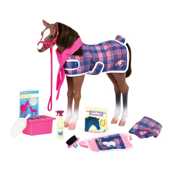 Our Generation, Źrebak – QUARTER HORSE FOAL