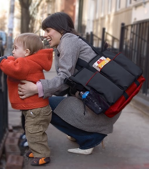 Skip Hop Torba Duo Double Szara dla Bliźniaków 0+