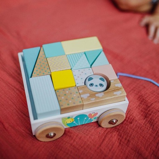 Janod Klocki Drewniane Do Ciągnięcia 30el 18m+