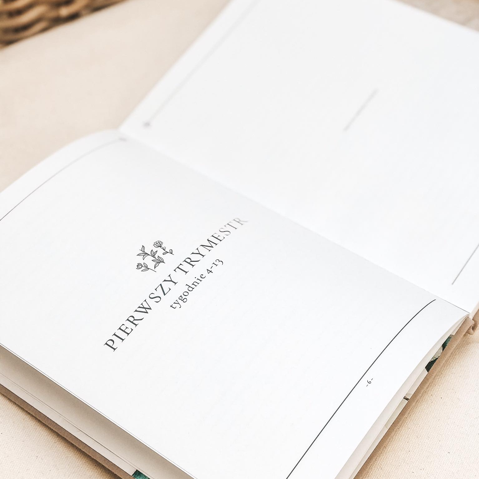 Pamiętnik przyszłej mamy Oh Mama Bottle Green