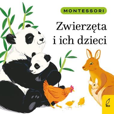 Książka Montessori Zwierzęta i ich dzieci 3+