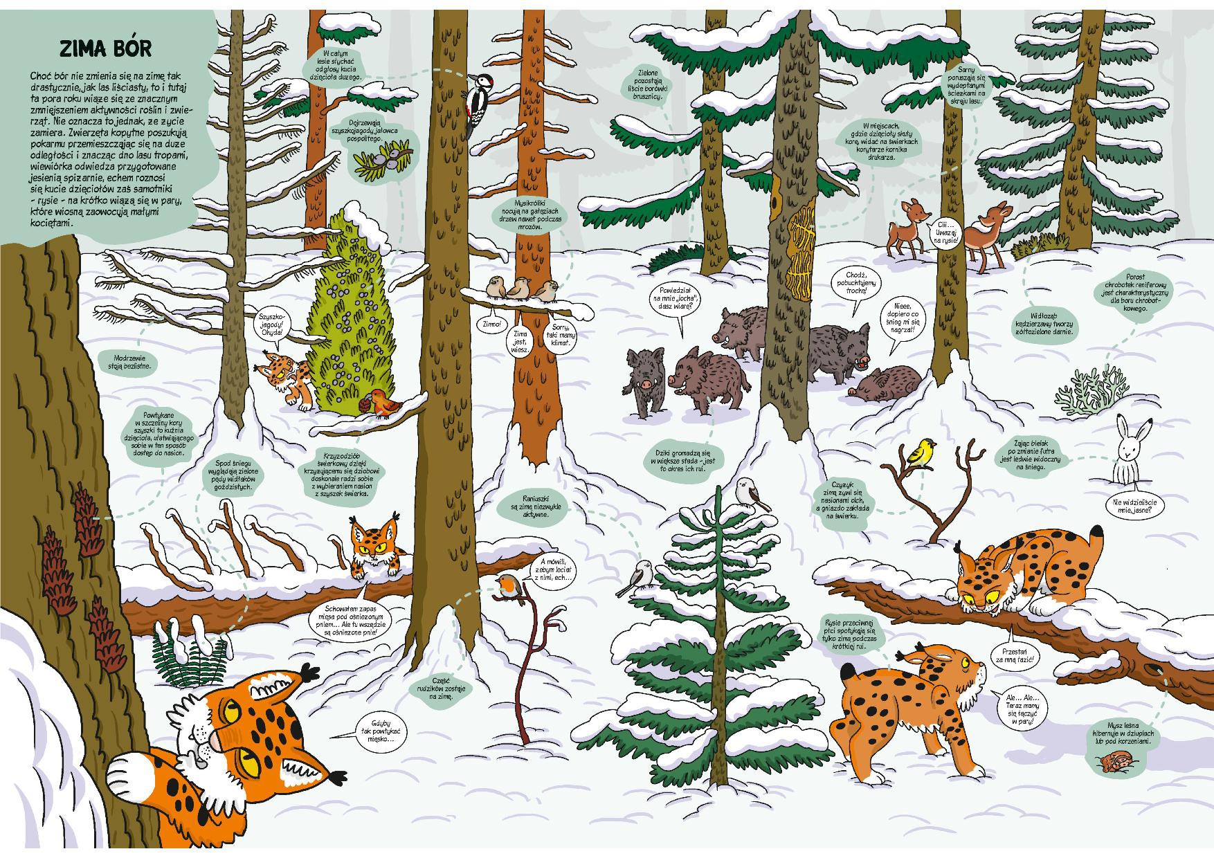 O rany, przyroda! Książka edukacyjna dla dzieci 3+ | Fabryka Wafelków