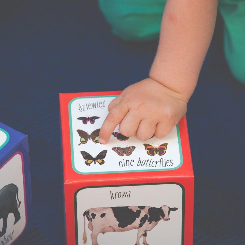 Piramida Zabaw Kartonowe Klocki Zwierzęta 1+