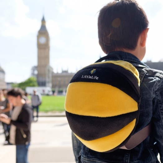 Plecaczek ze smyczą    Pszczoła