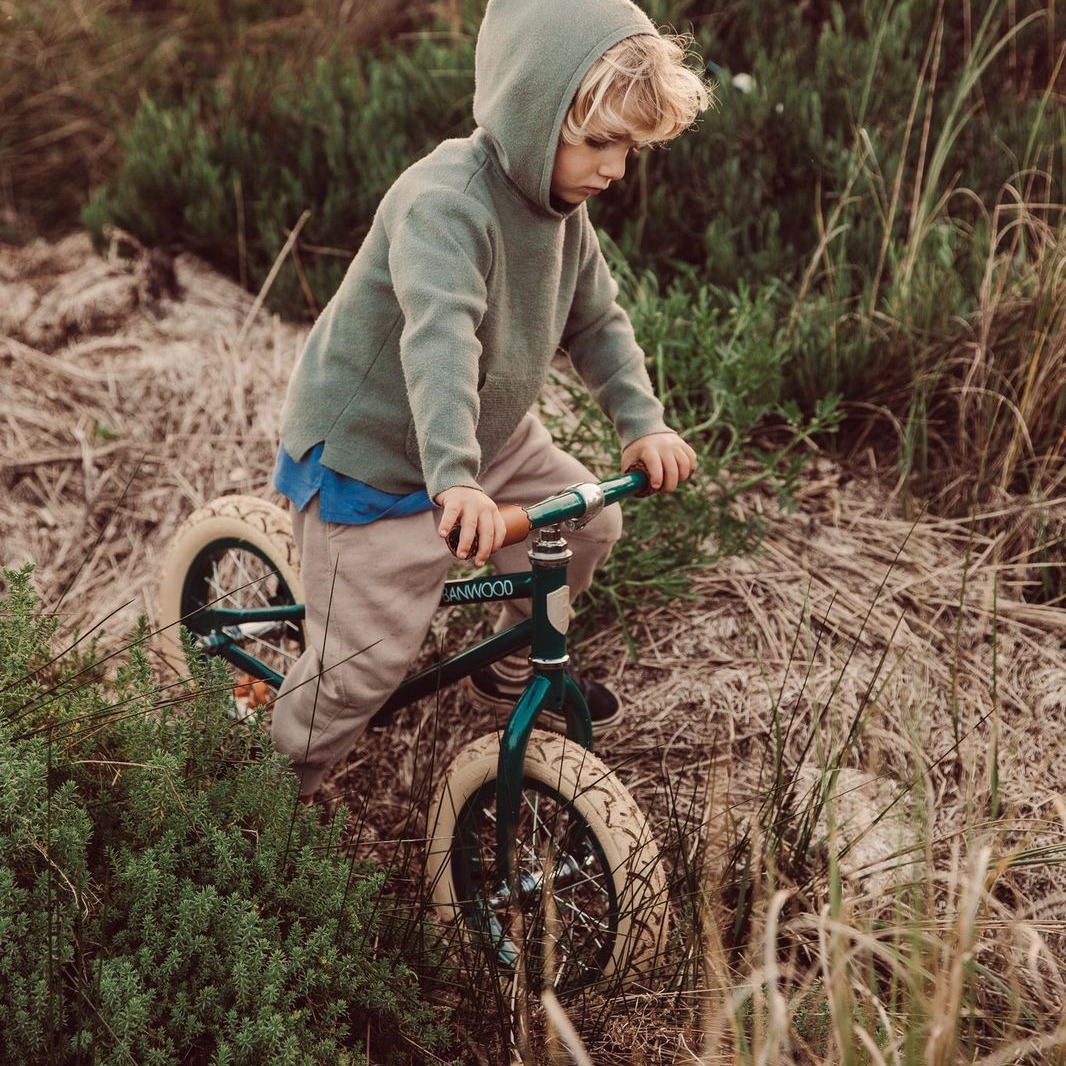 Banwood First Go! Rowerek biegowy Green 2+