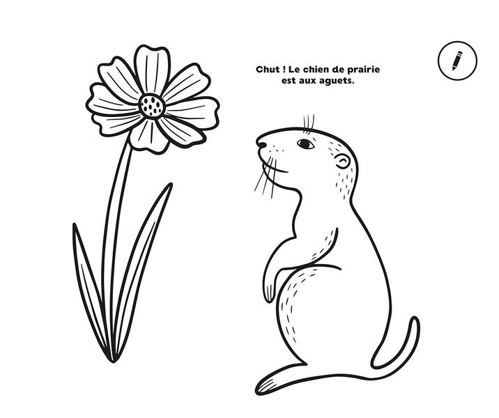 Auzou Zestaw 50 Kolorowanek z Kredkami Natura 3+