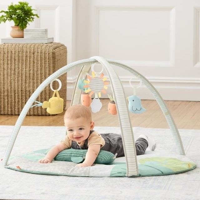 Skip Hop Mata Edukacyjna Garden Oasis 0+