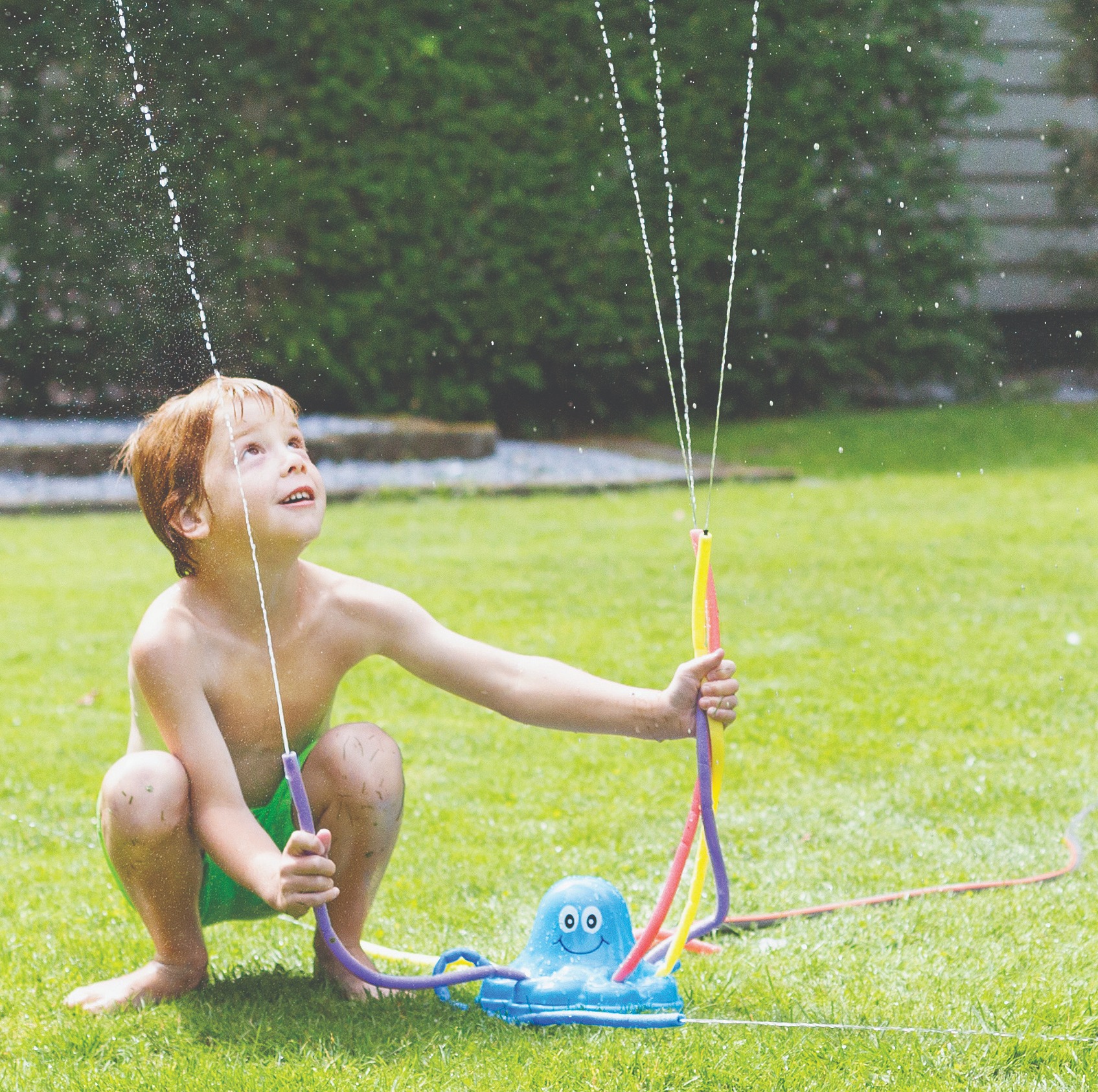 Ośmiornica Wodna Pryskająca +3 lata