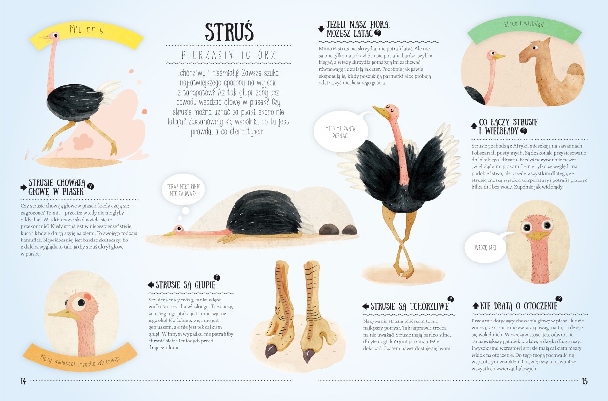 Mity i Stereotypy Pavla Hanackova - Edukacyjna Książka 8+