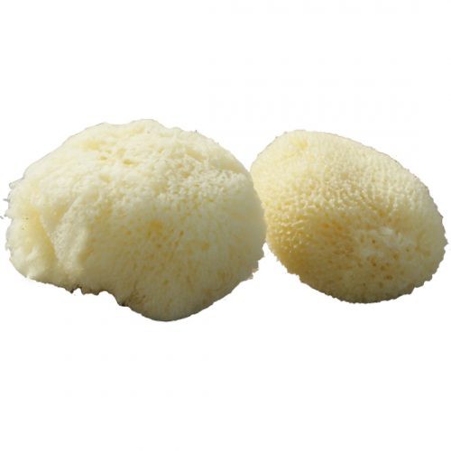 Beaming Baby Organiczne Gąbki do Mycia 2 szt. dla Delikatnej Skóry