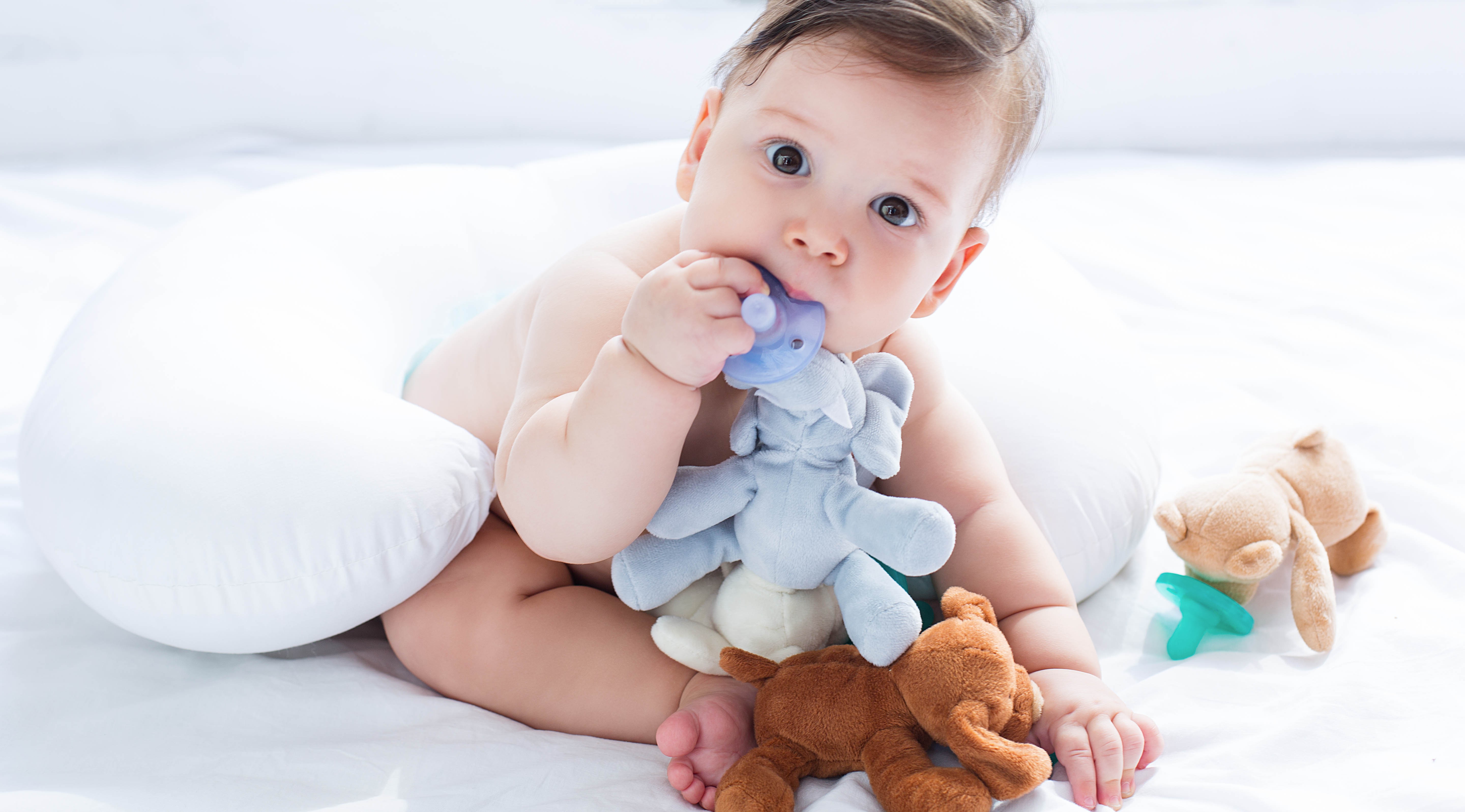 Minikoioi Smoczek z przytulanką Słoń 0+ | Edukacyjny