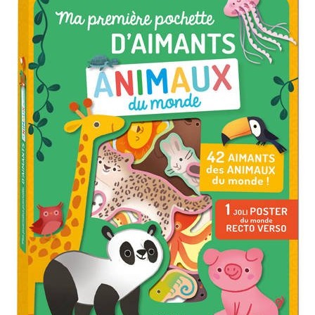 Auzou, Zestaw magnesów Zwierzęta świata