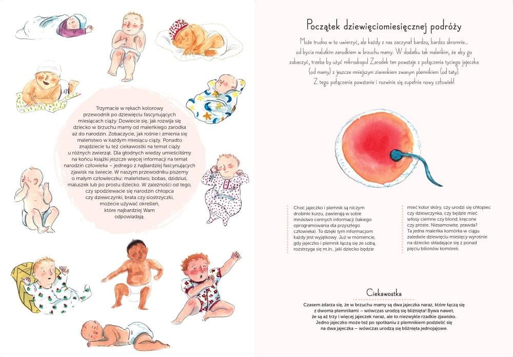 Babaryba Książka 9 miesięcy Rozwój Dziecka 0+ | Fabryka Wafelków