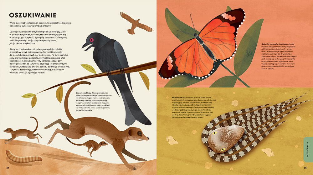 Człekozwierz. Co nas łączy ze zwierzętami? Christopher Lloyd 6+