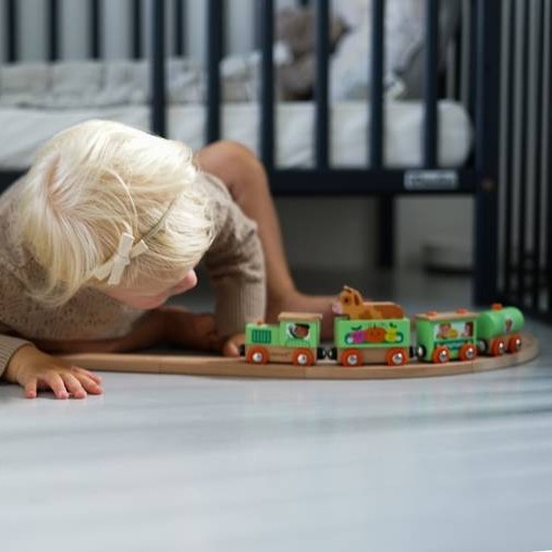 Janod Pociąg Drewniany z Torami Farma Story 3+ 15el