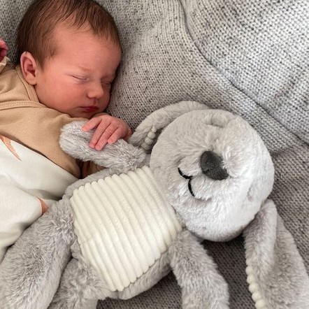 Flow Amsterdam, Uspokajający króliczek Milo the bunny Popielaty 0m+