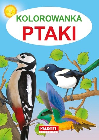 Kolorowanka Ptaki dla dzieci 29.7x21cm | Edukacyjna