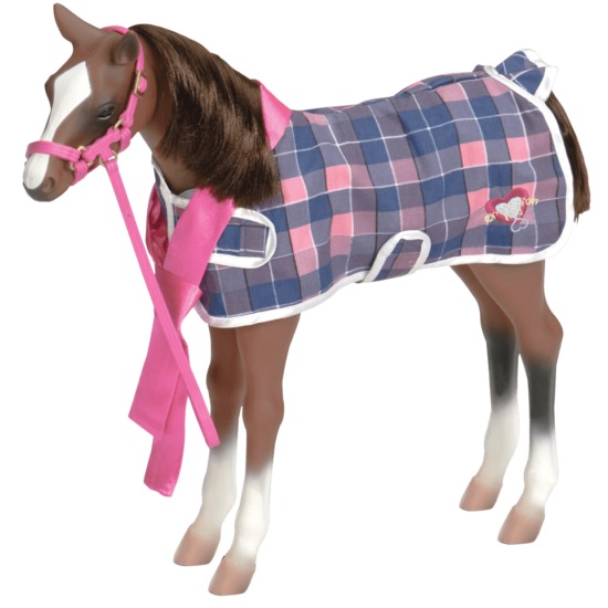 Our Generation, Źrebak – QUARTER HORSE FOAL