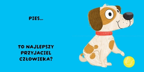 Czy to pasuje? Zwierzęta