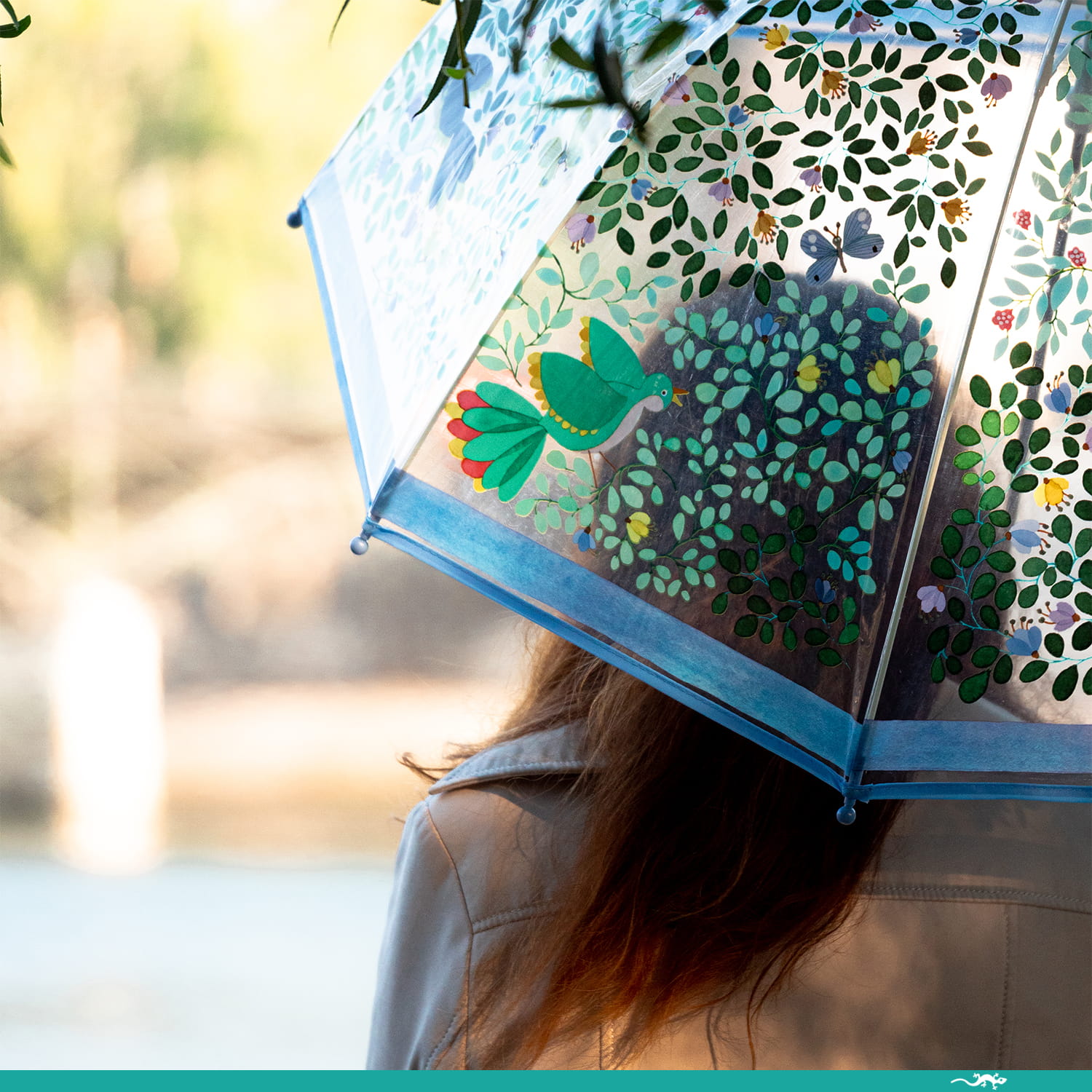 Djeco Parasol Przeciwdeszczowy PTAKI Transparentny 3+