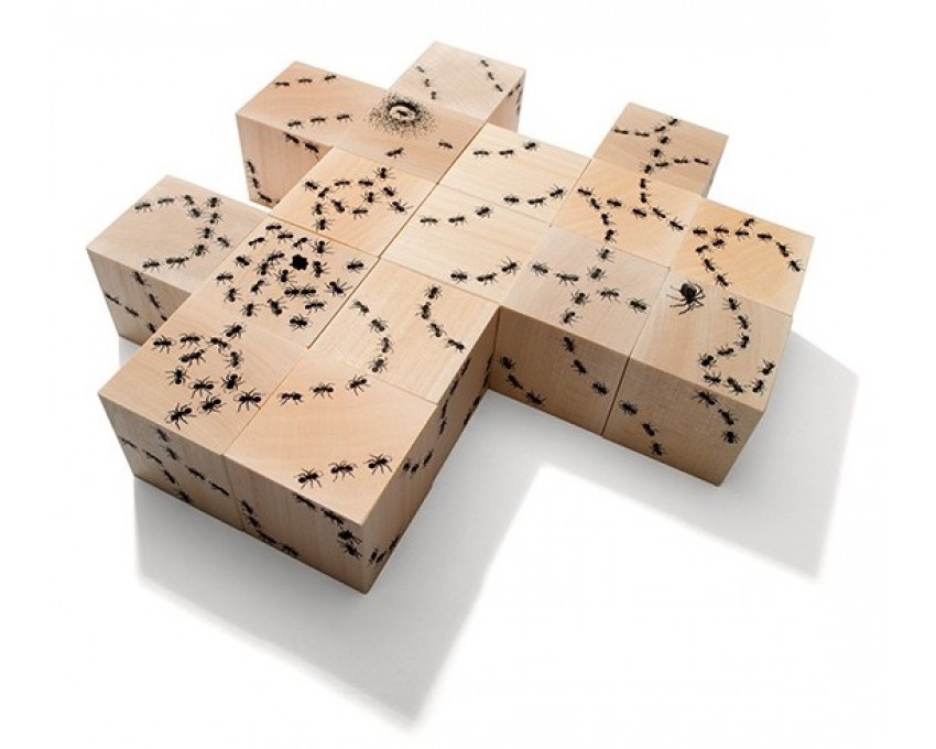 Szlakiem Mrówek Drewniane Klocki Edukacyjne 1+