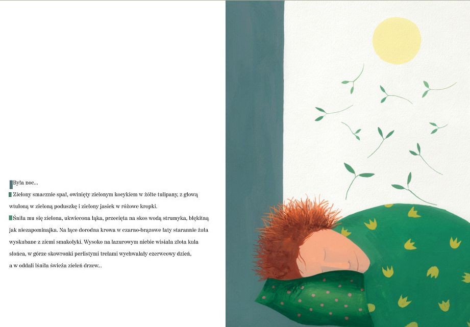 Książka "Zielony, Nikt i ktoś" Małgorzata Strzałkowska 3+