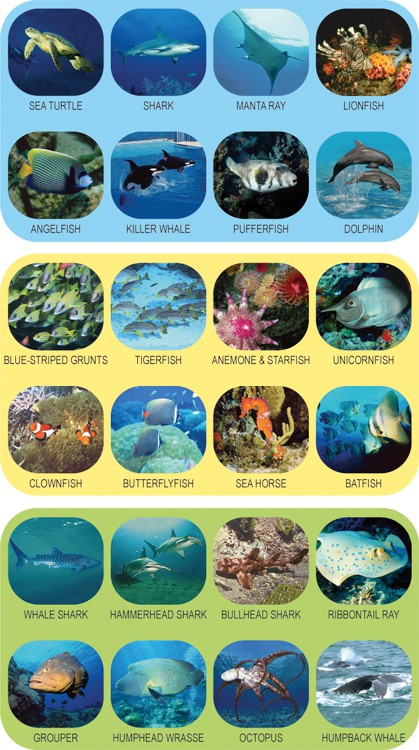 Projektor Podwodny Świat Zefir 3+ | Certyfikat CE