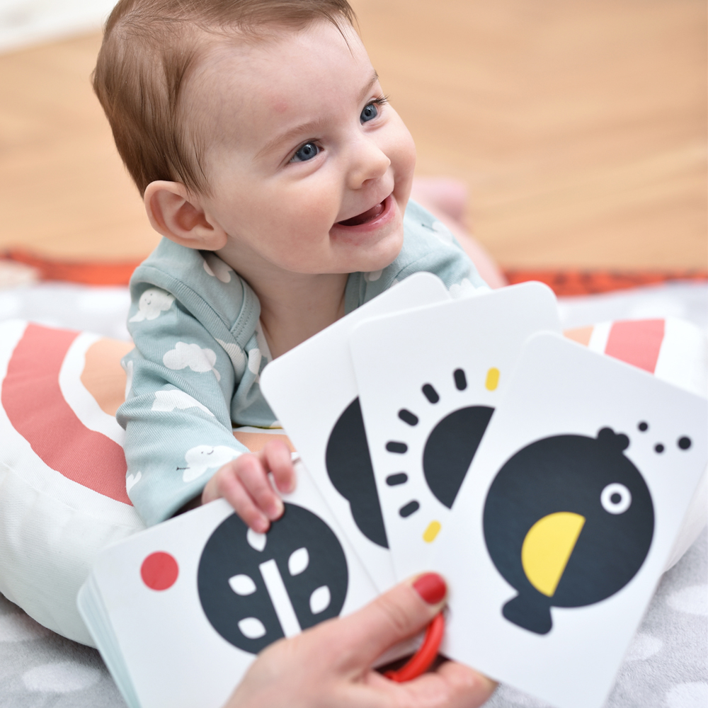 Czuczu Karty Kontrastowe na Kółeczku 0m+ dla Niemowląt