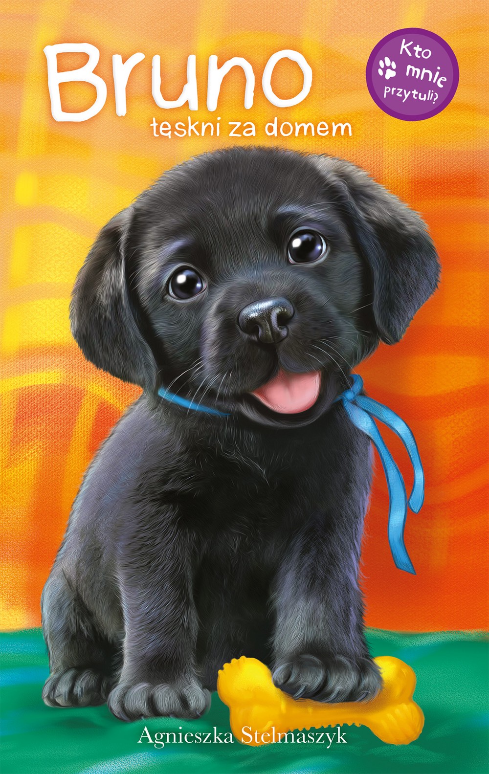 Bruno tęskni za domem. Kto mnie przytuli? Książka 4+ | Wilga