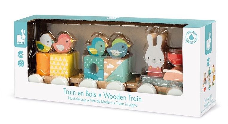 Janod Pociąg z Klockami do Ciągnięcia Pure 12m+