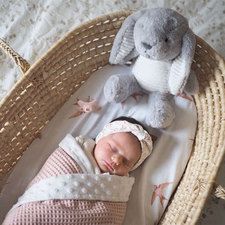 Flow Amsterdam, Uspokajający króliczek Milo the bunny Popielaty 0m+