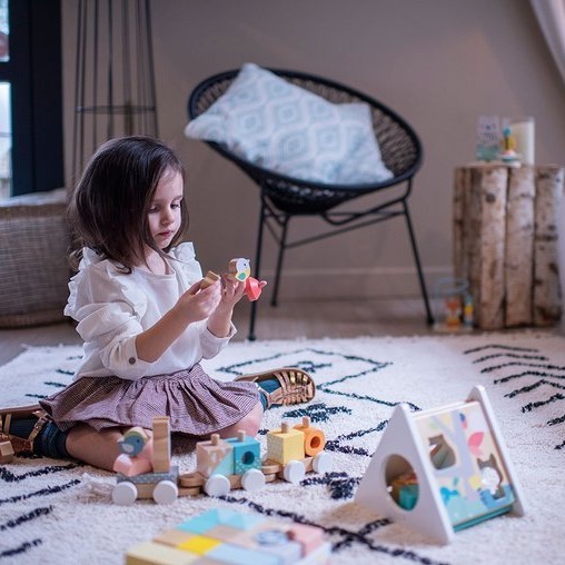 Janod Pociąg z Klockami do Ciągnięcia Pure 12m+